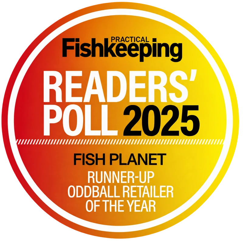Practical Fishkeeping Readers' Poll 2025 — Fish Planet, runner-up Oddball Retailer of the Year